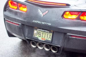 Corvette stingray with green british columbia license plate with a grizzly bear
